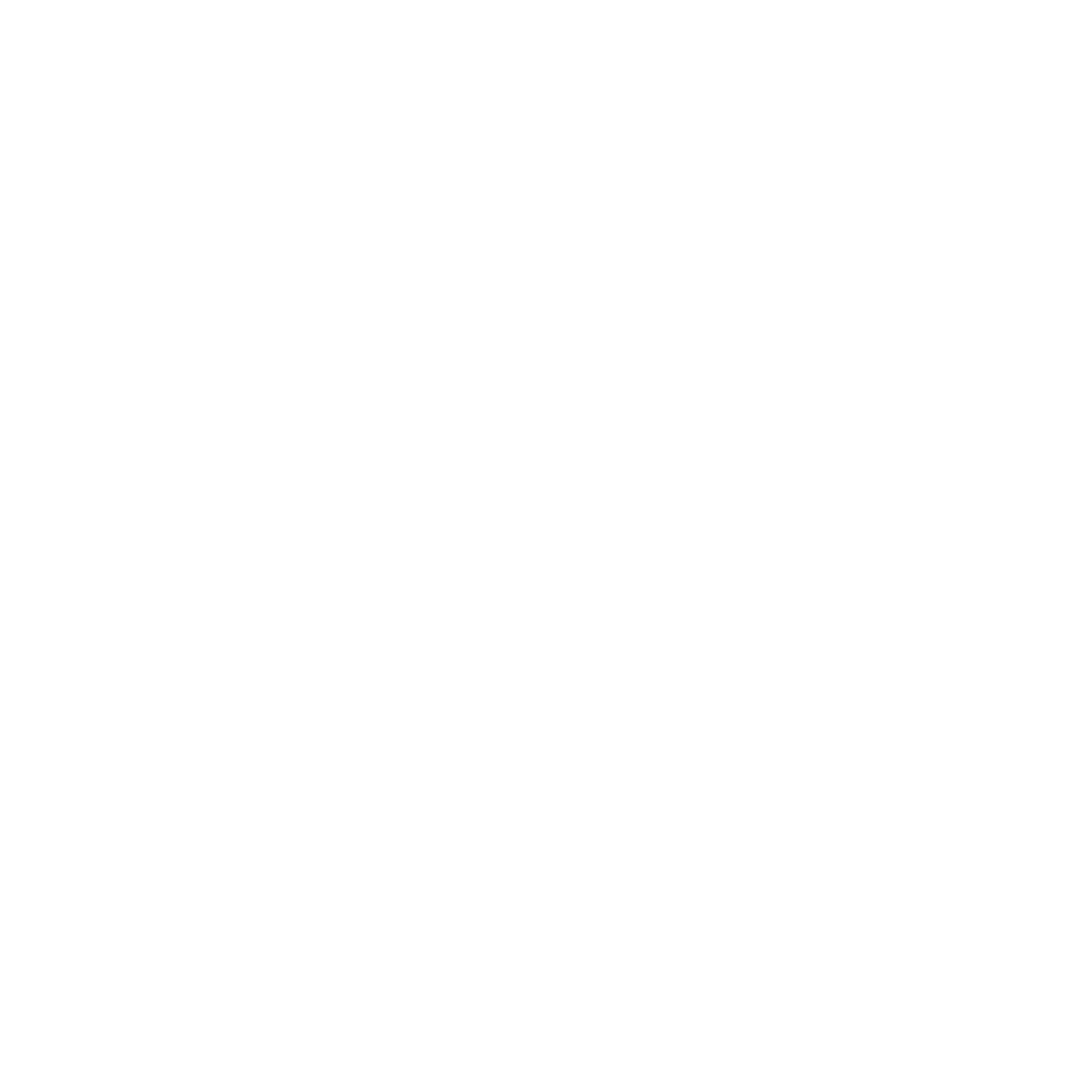 Ballschuh und Biema
